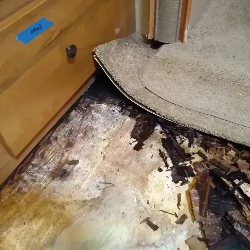 Wood Floor Water Damage in Dayton, MN